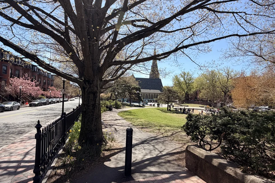 Sparrow Park in Boston's South End.